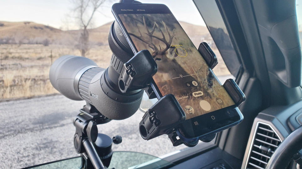 A stag visible in the camera app of a smartphone mounted to a spotting scope 
