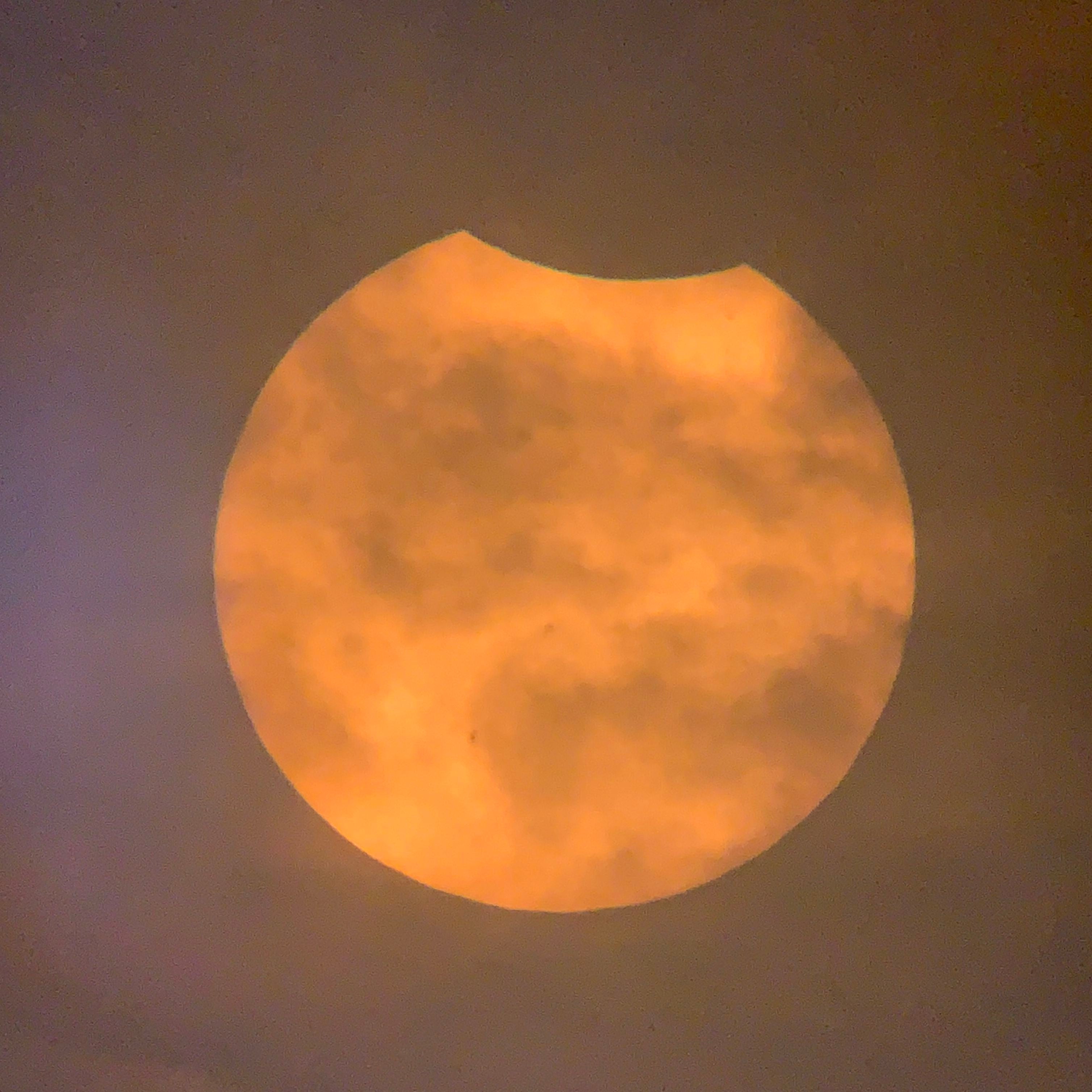 2023 Oregon Eclipse