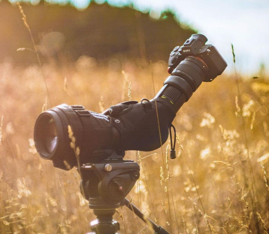 Spotting scope on a tripod in talk grass with DSLR camera and adapter mount