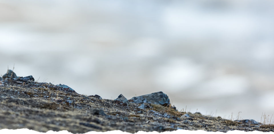 Rocks on a hillside with a blurred sky in the background